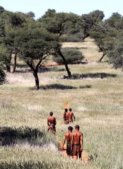 Intu_Afrika_Activity_Bushman_Walk_5-1-1