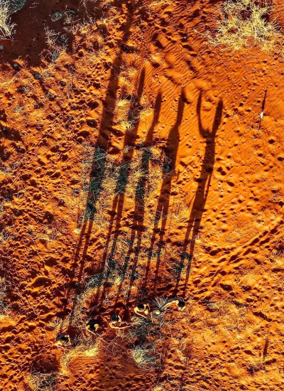 Intu_Afrika_Activity_Bushman_Walk_9-1