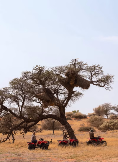 Intu_Afrika_Activity_Quad_Biking_5-1
