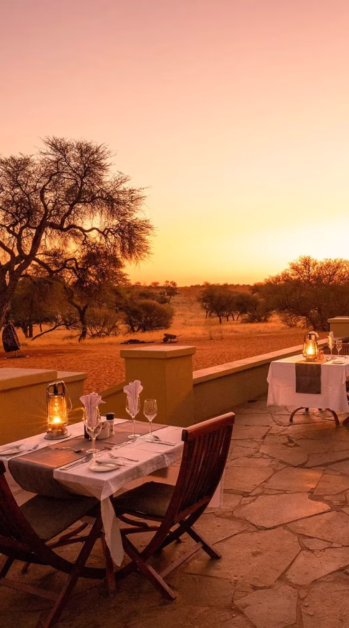 Intu_Afrika_Zebra_Lodge_25.webp
